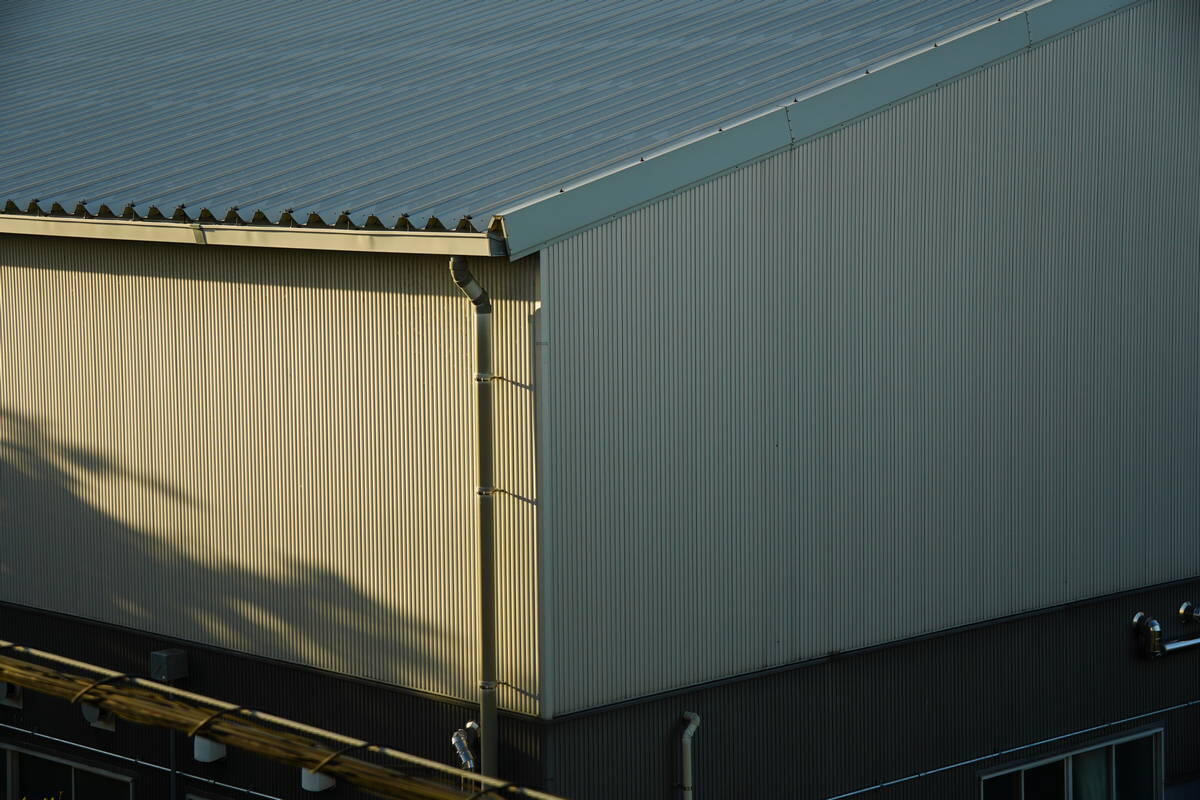 1/200s f/5.6 ISO200