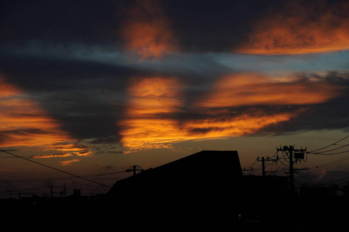 1/100s f/8.0 ISO400