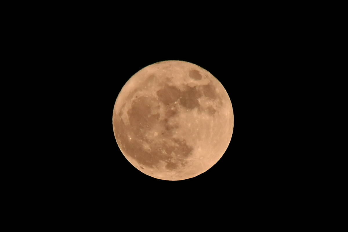 1/125s f/16.0 ISO400