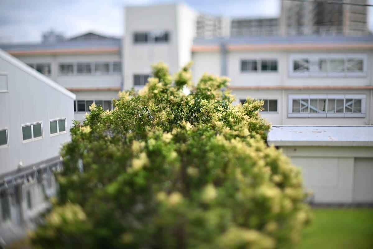 1/5000s f/1.4 ISO100
