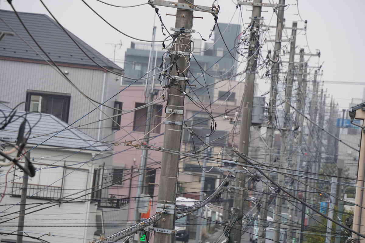 1/320s f/8 ISO250