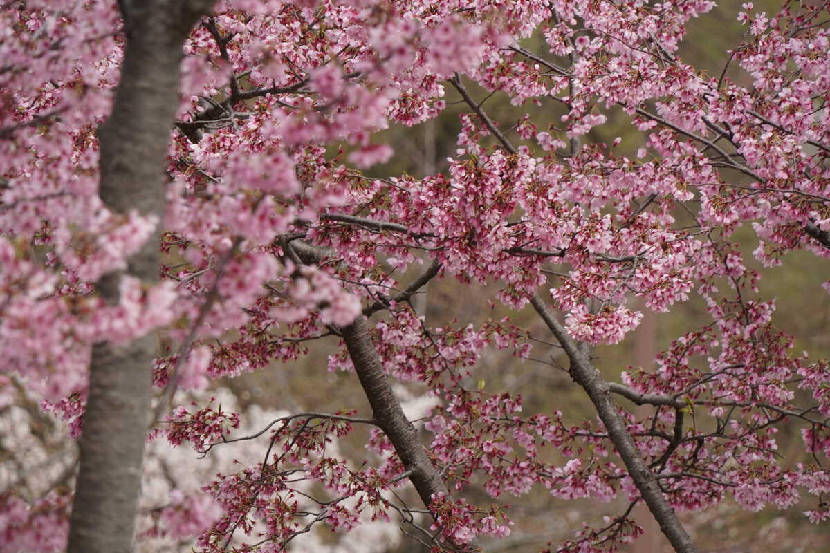 1/320s f/10 ISO800