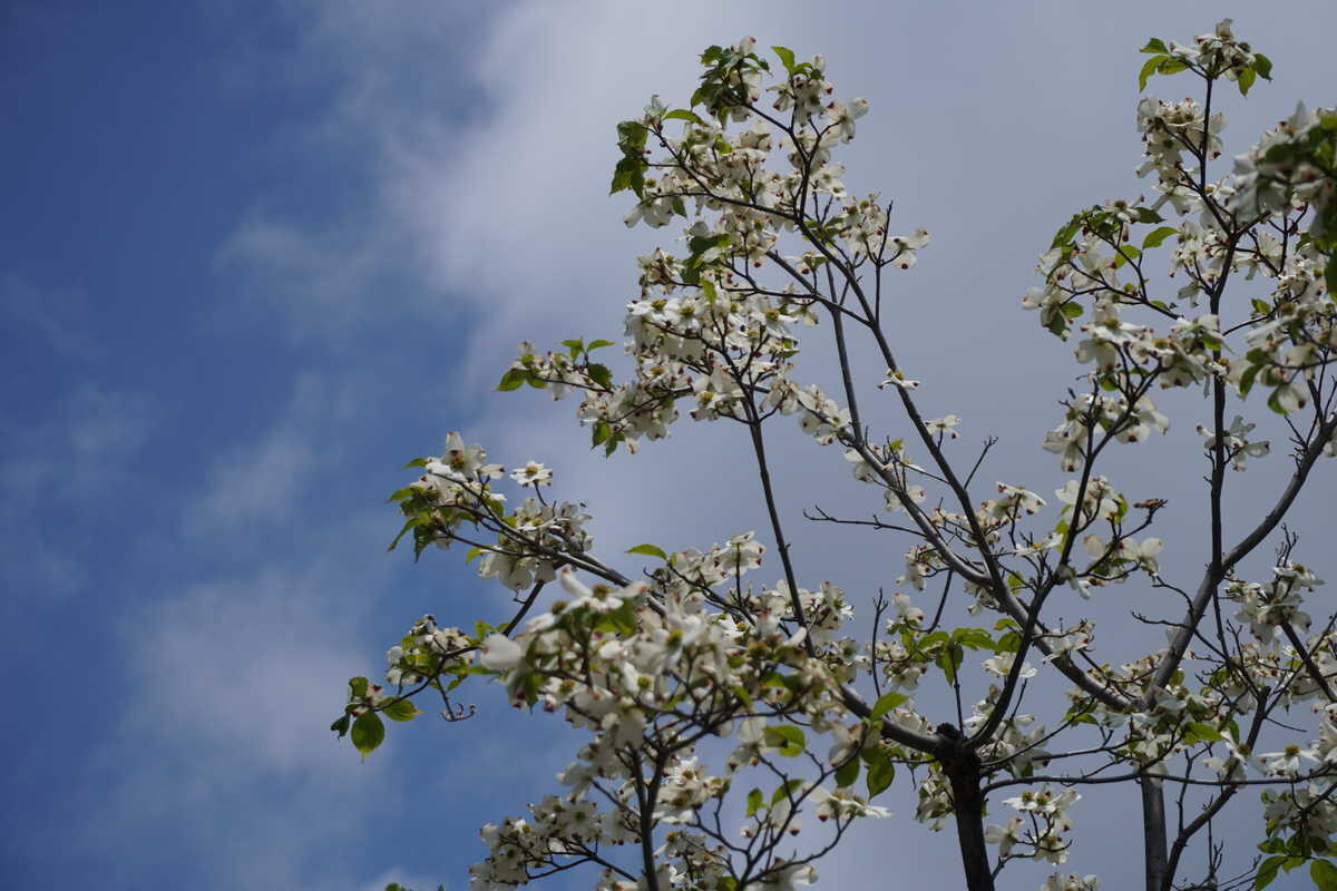 1/800s f/5.6 ISO100