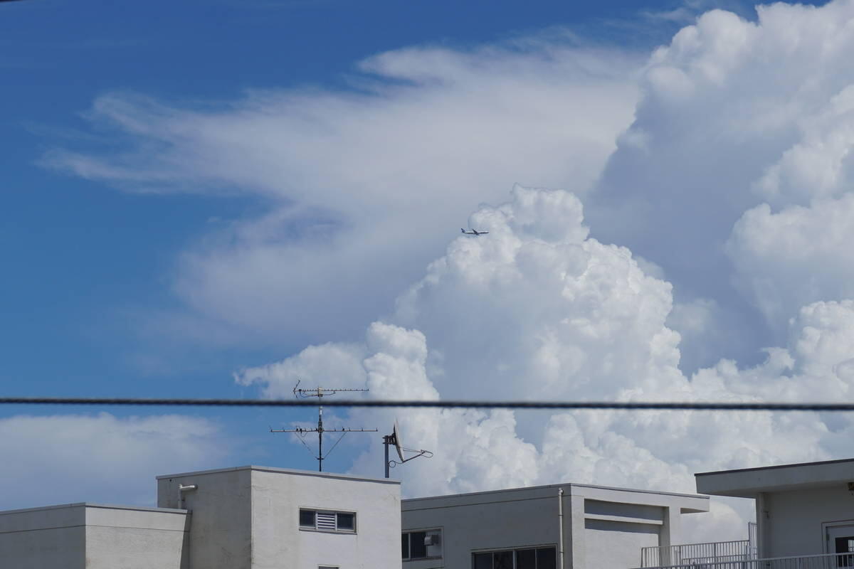 1/640 f/11 ISO100