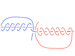 フライフィッシングの基礎知識 ラインノット 糸の結び方
