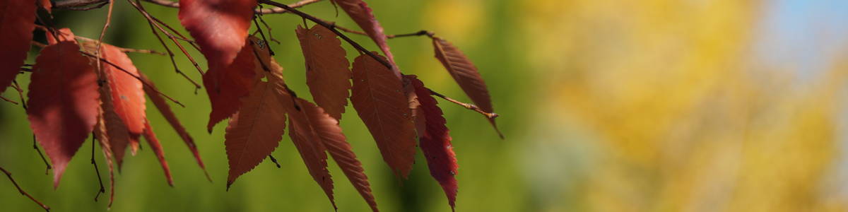 フライフィッシング スクール アングラーズコム