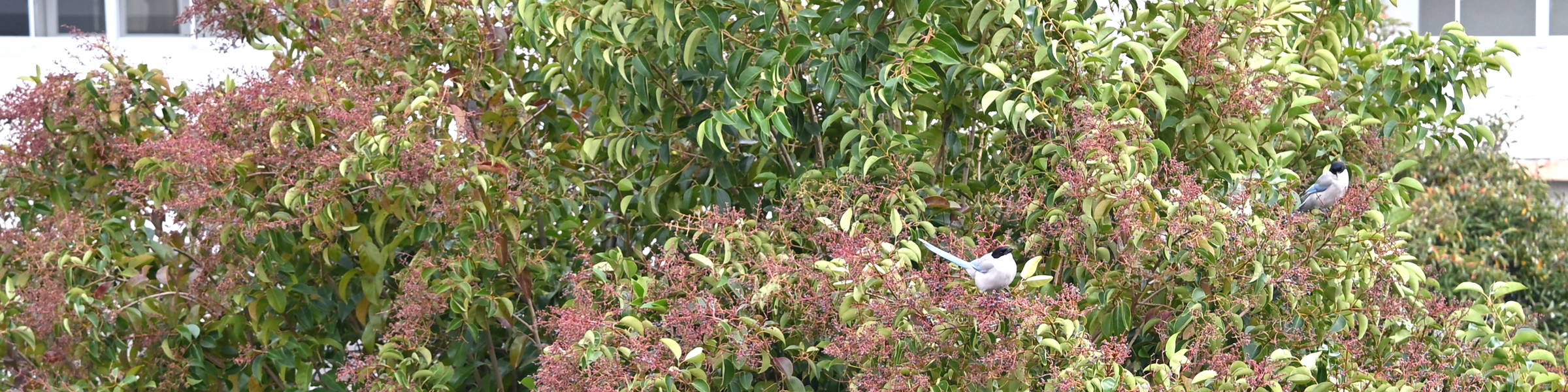 フライフィッシング スクール アングラーズコム